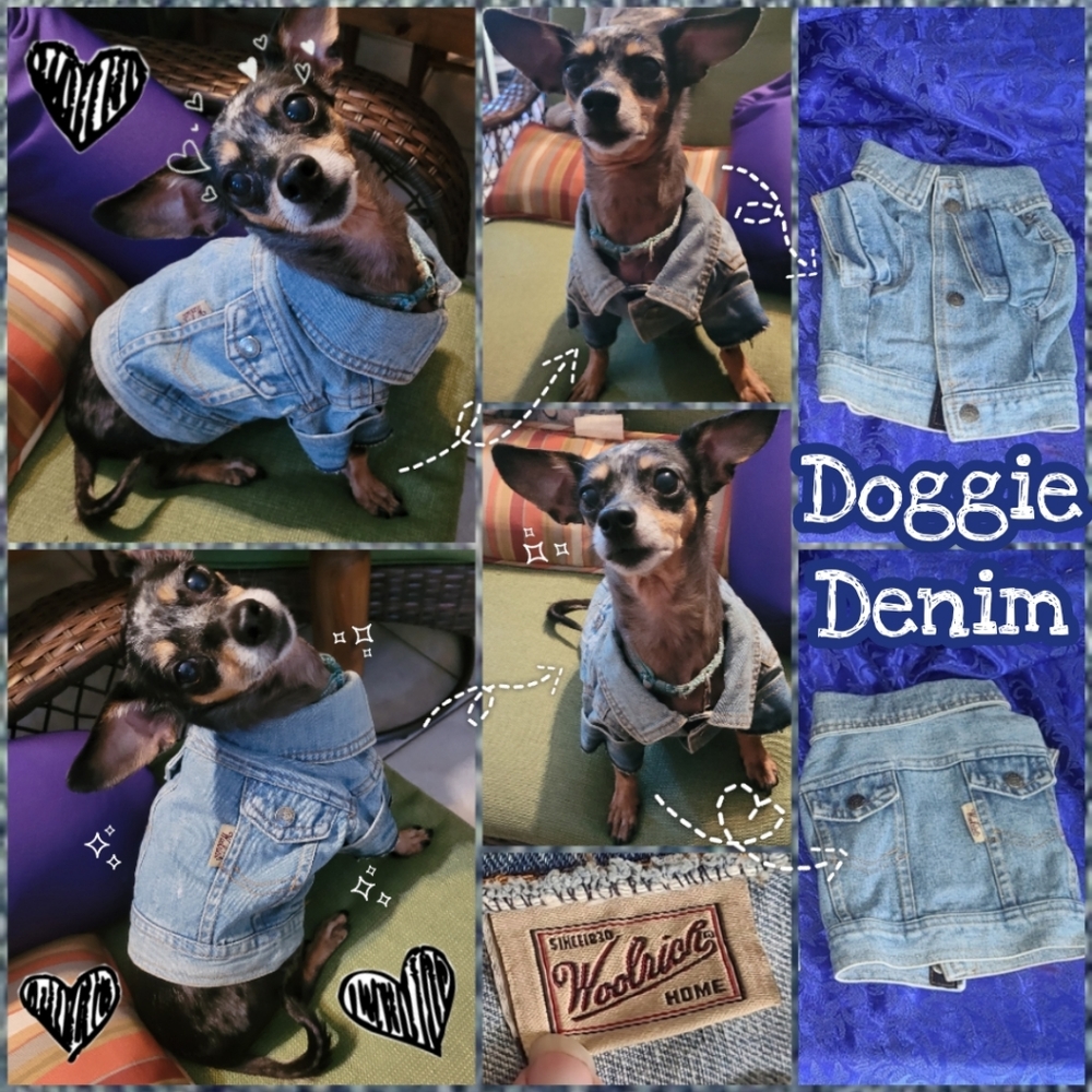 Woolrich Doggie Denim Jacket 🐾 Adorable Blue Jean Trucker Jacket for Small Pups